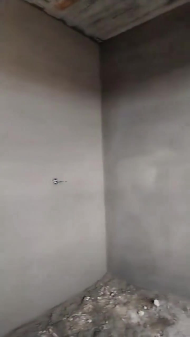 لبخ جص • سمنت نثر • متفرغ