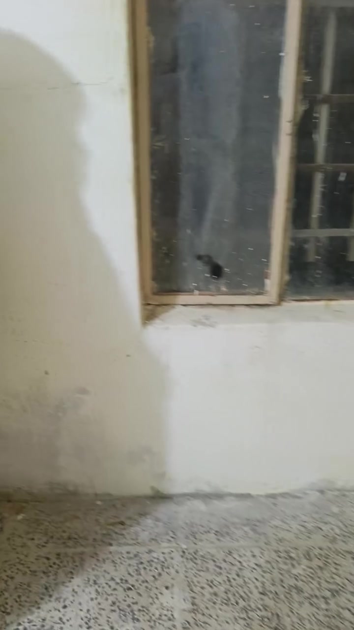 بيت شارع جامع خلفاء بيع أو يجار ***********

