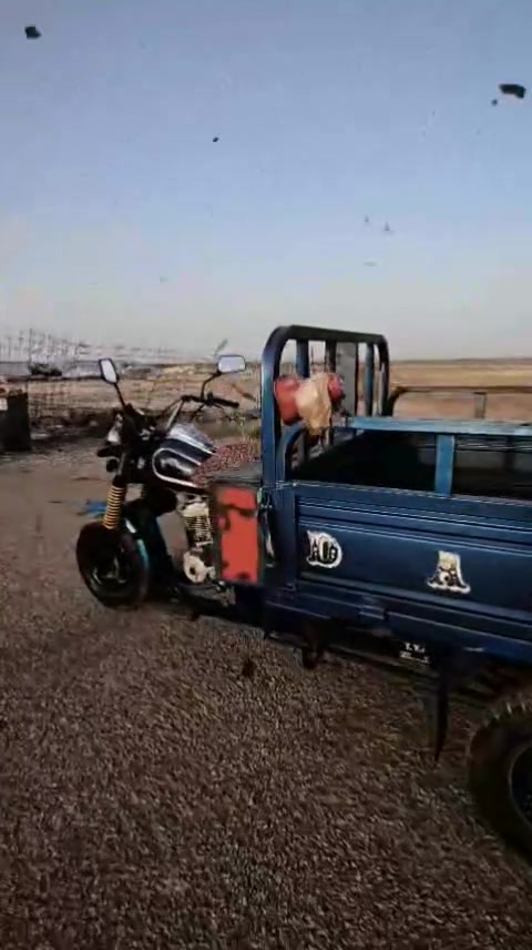 ستوته • موديل ٢٠١٨ • اوراق