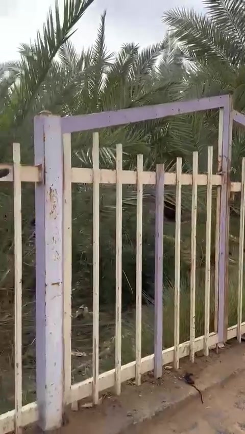 بيت 100 متر للبيع
⭕مكان كلش راقي ⭕
كوفه حي العسكري بضهر شارع العريض مال مستشفى العراقي المربع المقابل صمون قحطان على الحديق وجه 
بي طرمة و مطبخ و غرفه و صاله و صحيات خارجيه و داخليه 
للاستفسار اكثر ***********
