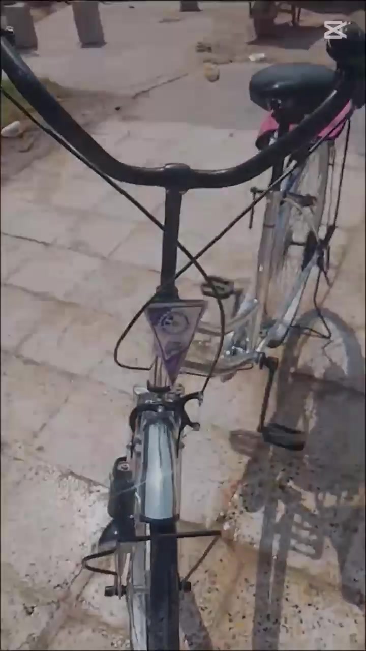 باسكل • جديد • الديوانية