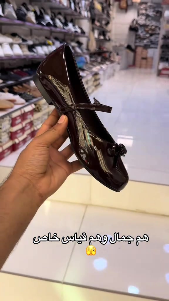 قياس خاص • جمال • لانجري