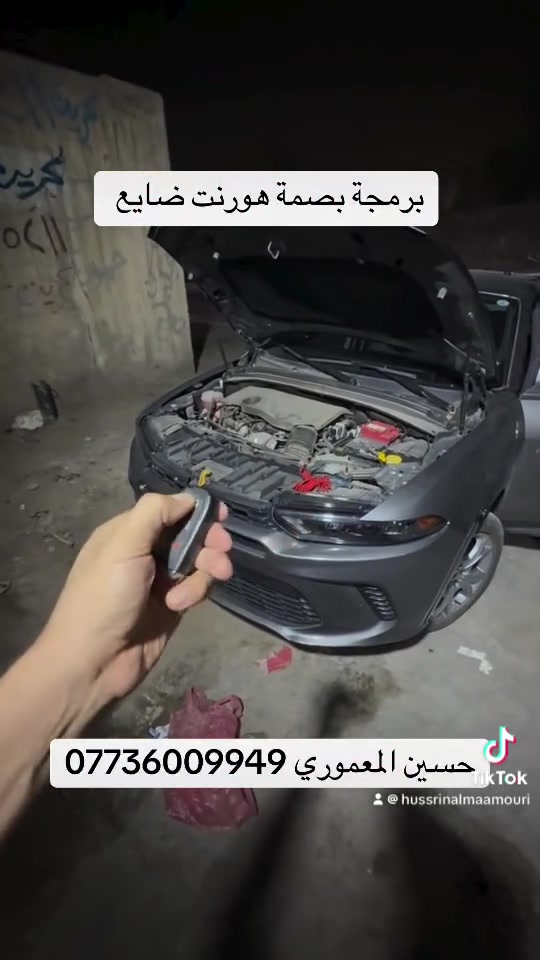 برمجة بصمة • هورنت • ضايع