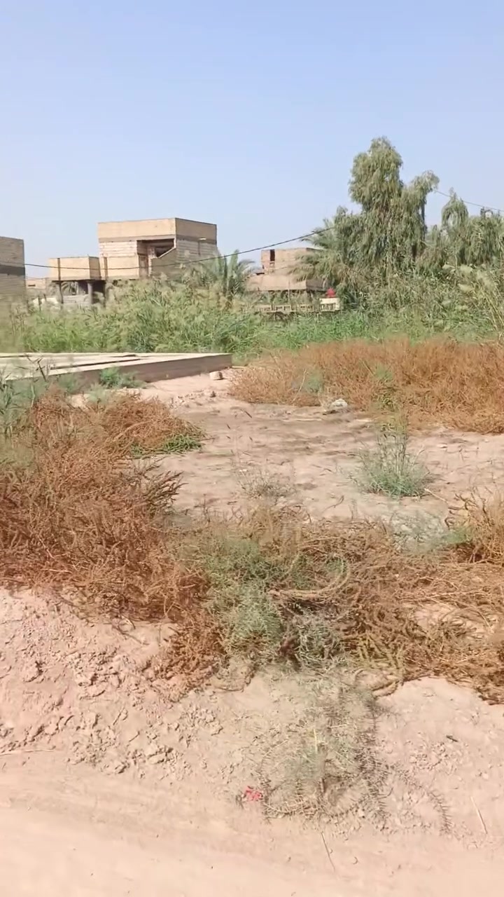 ٢٠٠م • سند ٢٥ • بضهر محطة غسل الفرات