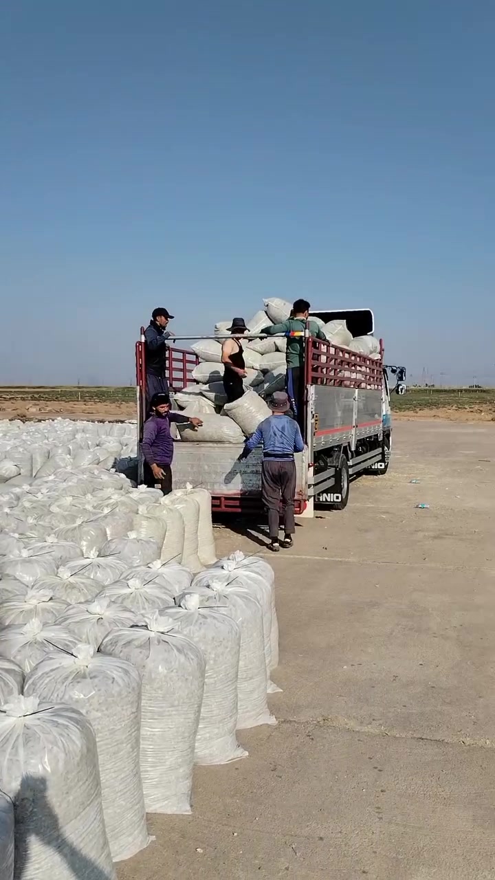 سيلا ج • كركوك • يوصل المحافظات