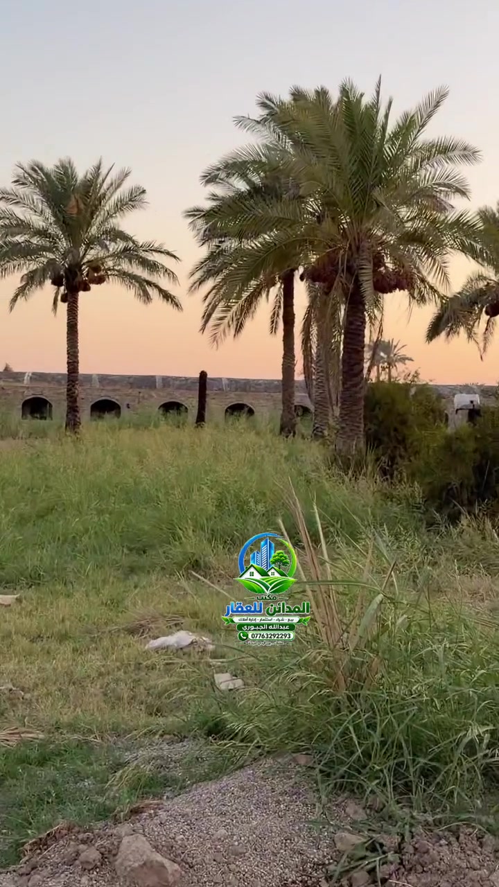 نص دونم للبيع
المدائن منطقه التويثه قرب شارع سيد علي 
واجهه 20 خدمات كامله ماء تبليط كهرباء 
يصلح سكن او مزرعه بي انواع النخيل
 للاستفسار الاتصال ***********
