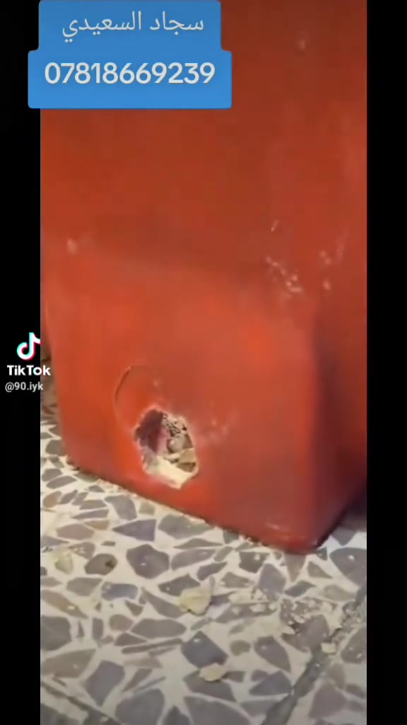 سجاد • السعيدي