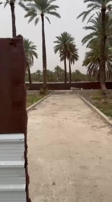 السلام عليكم
قطعه ارض للبيع مساحة ٩٠٠ متر  واجهة  ٢٧ تحتوي على كراج ورفت شارع ١٢  متر مللك صرف زراعي موقع ممتاز  يبعد عن الجزيرة السياحية خمس دقايق والتفاصيل داخل الفديو كما يتوفر بيوت وأراضي بمساحات مختلفه للإستفسار الاتصال على الرقم ***********
