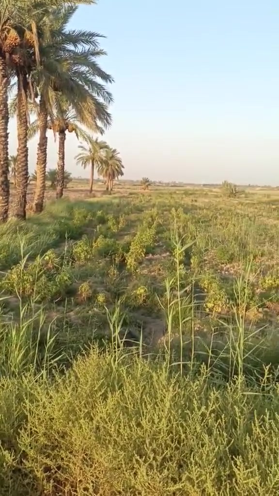 علشارع مباشر
‏‪***********‬‏
