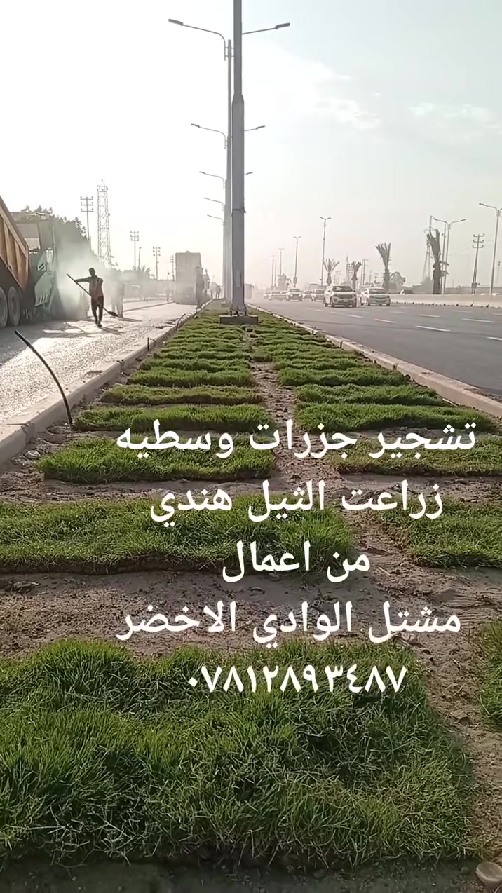 مشتل الوادي الاخضر • تنسيق حدائق