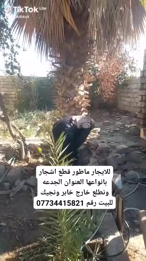 للايجار شتقل بيدي خابر ونجيك للبيت والعنوان جدعه ونطلع خارج *********** ابو طه
