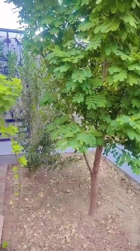 بيت للبيع • ٢٠٠م • حي الخليج