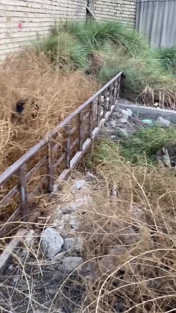 محجر • ٢ قطع • ٤٫٥ و٦