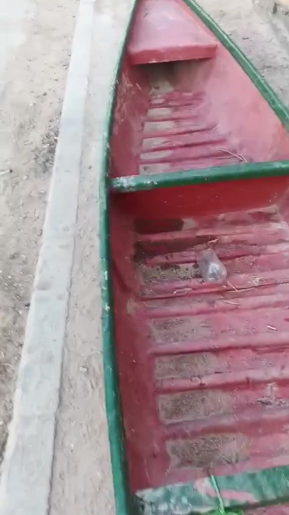 بلم فايبر  السعر ٢٠٠ قفل  العنوان ميسان  حي الحسين الجديد رقم صاحب البام مكلف بالنشر  *********** جميل
