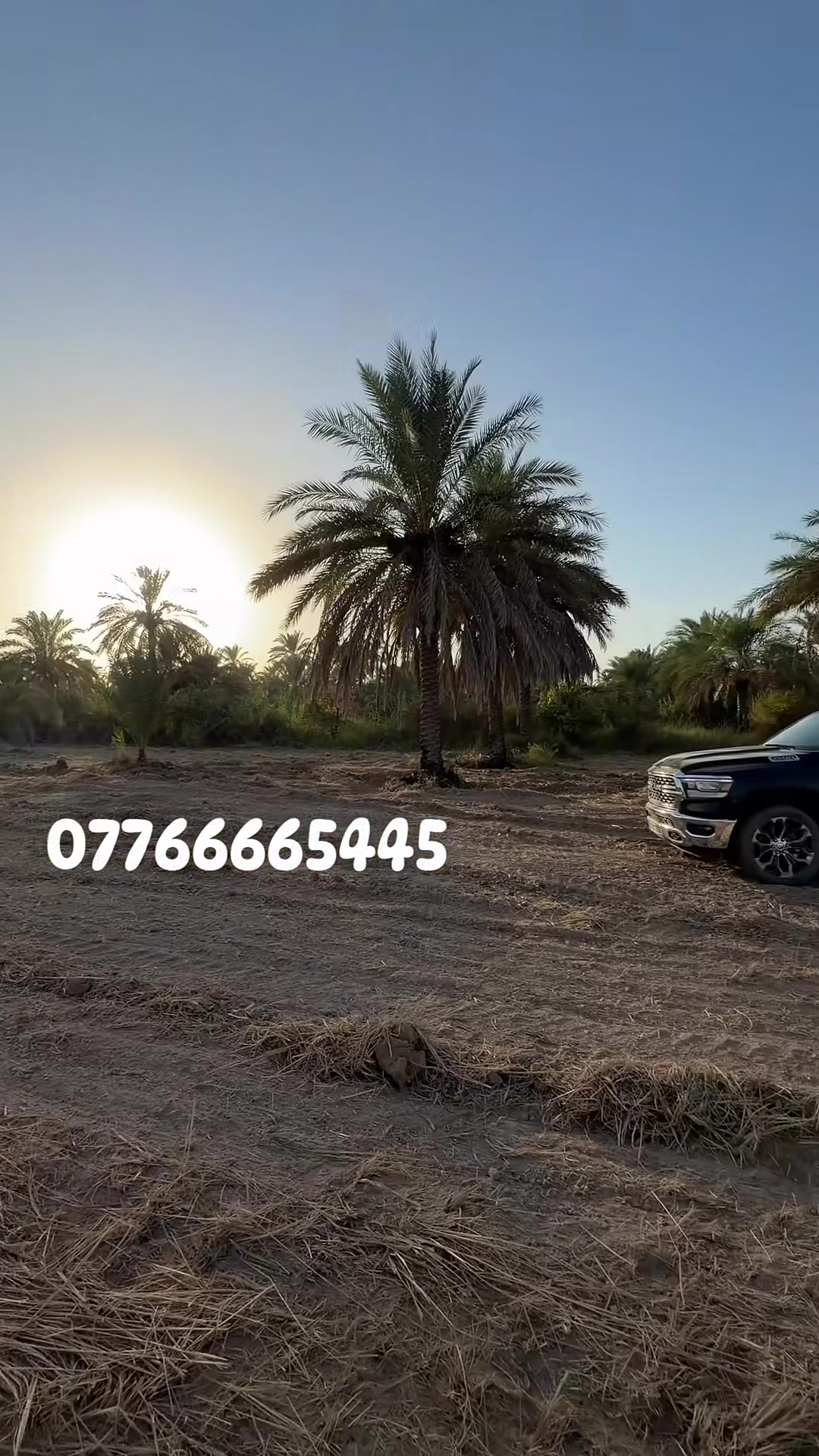 ارض تقطيع • واجهة ٦٠م • كهرباء
