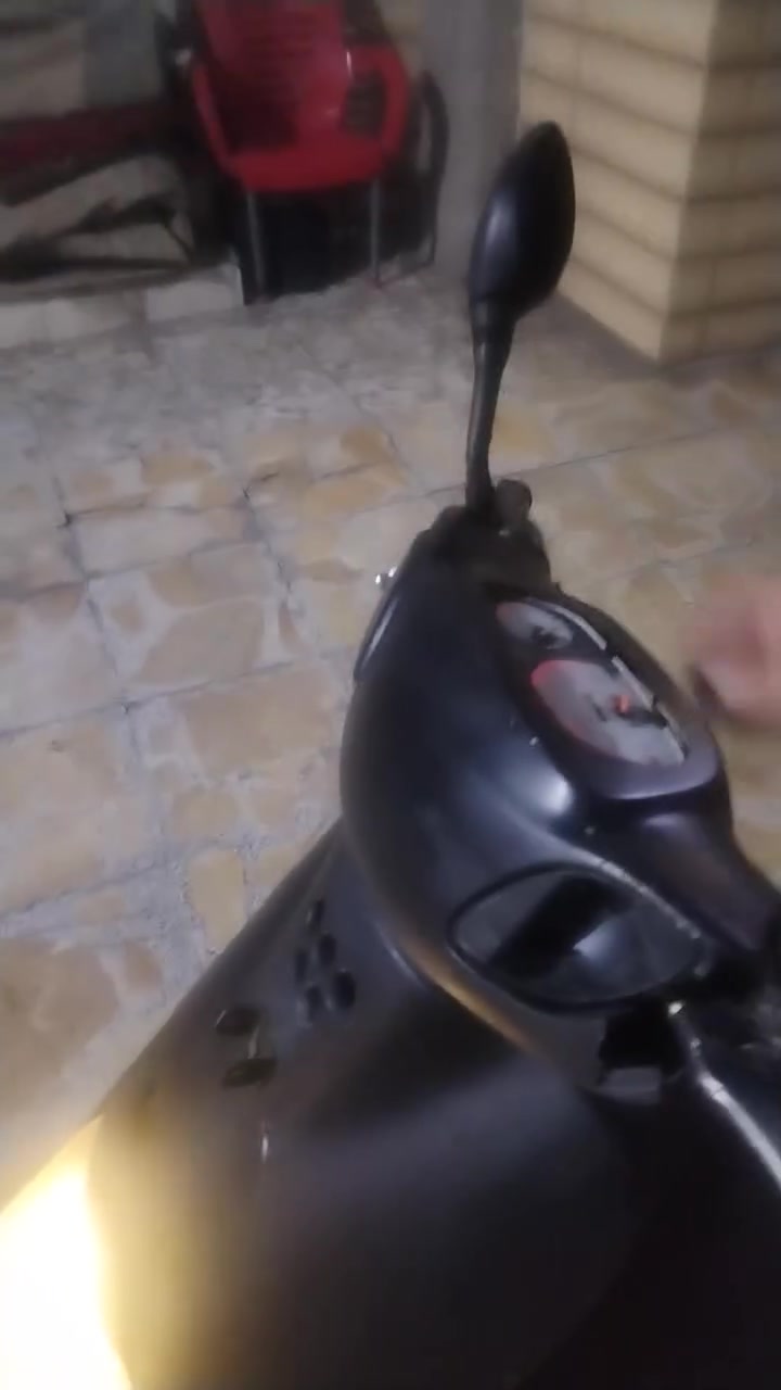 قرده • ياباني • عوزها بطارية