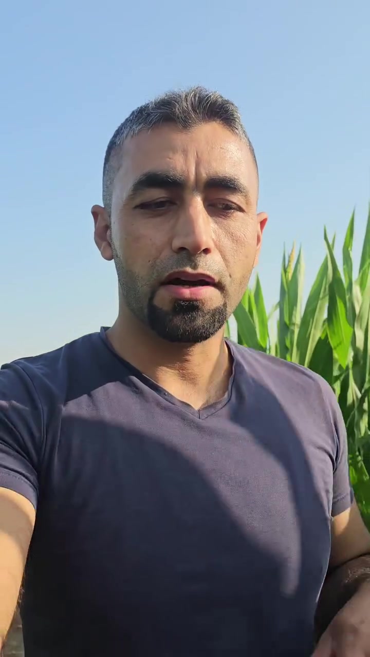 المتابعه المستمره هو أساس نجاح محصولك 
 #العراق #بذور_ذرة 
تابع الصفحه  ليصلك كل ما هو جديد
#الرافدين_للزراعة_الحديثة @أبرز المعجبين
