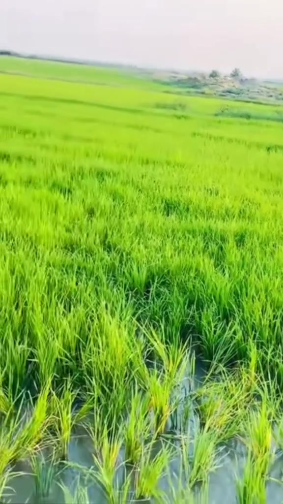 سلام عليكم يوجد عمال صلخي شلب يريد يكتب تم او واتساب ***********4
