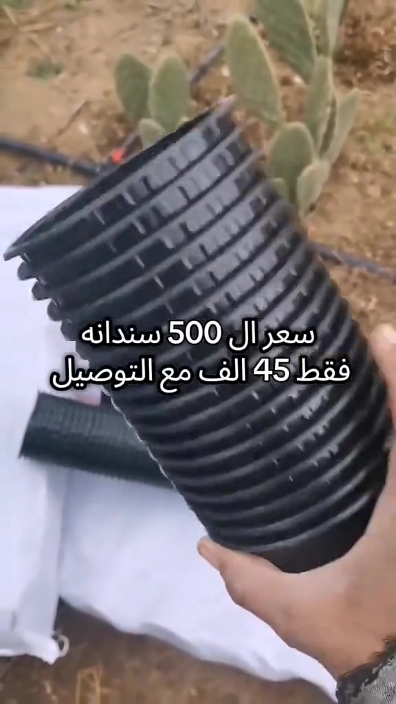 ستادين ورقي
للحجز والاستفسار *********** واتس
توصيل جميع محافظات العراق
#سنادين
#سنادين_نباتات
