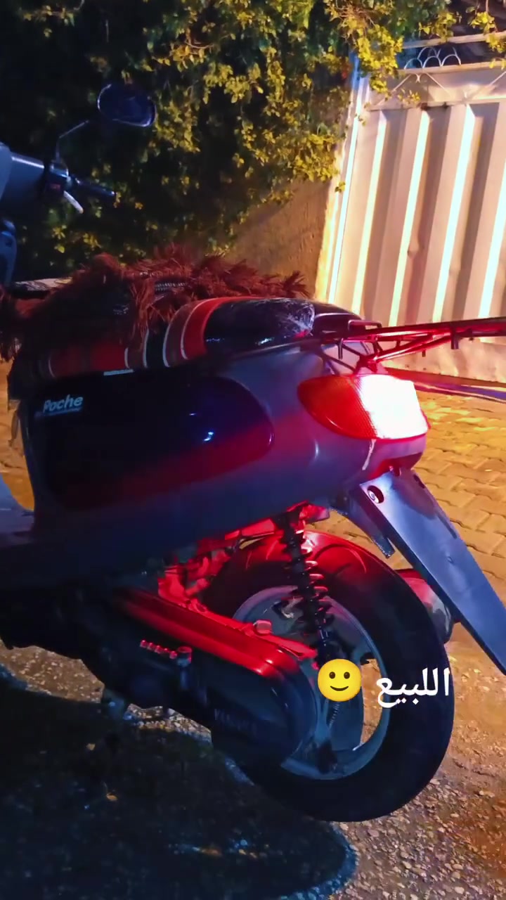 منغولي • ناعمه • سوق الخير