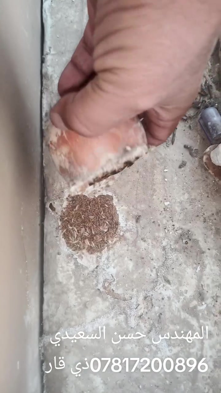 ذي قار • صيانة • ماكو تفاصيل