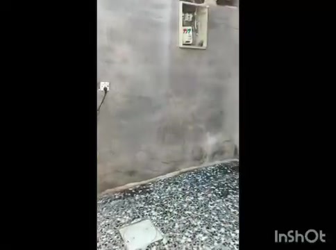 بيت للبيع • الشعله الدوانم • ١١٦م
