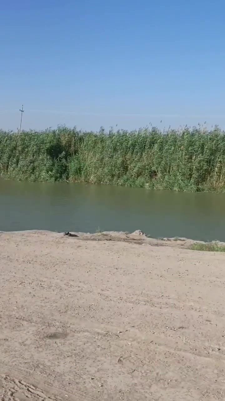 السلام عليكم ٣ دونم الببع المكان ال فلوجه النعيمية ع مشروع مباشر الوجه ٦٠ متر واصله كهرباء ماء رساله سعر الدونم ٦٥ بي مجال ***********
