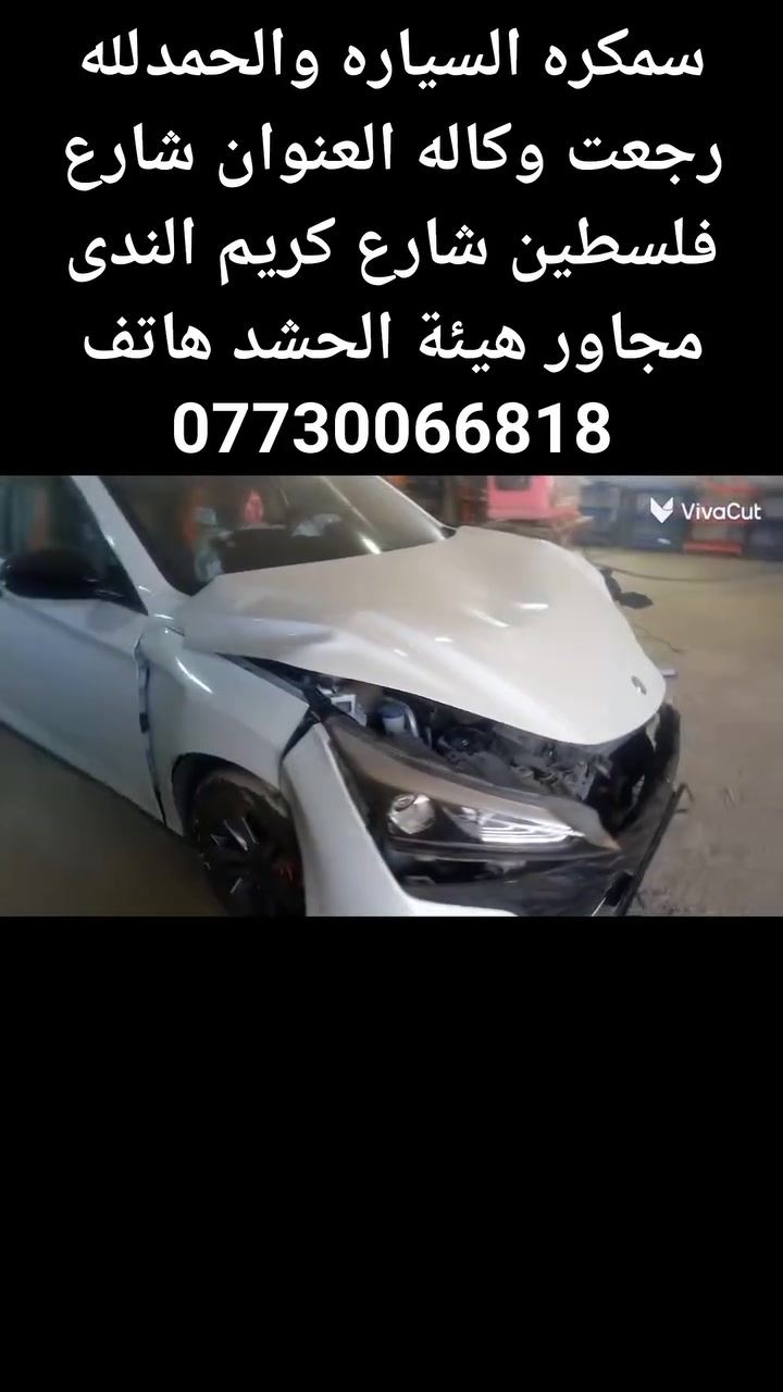 سمكرة • رجعت وكاله • شارع فلسطين