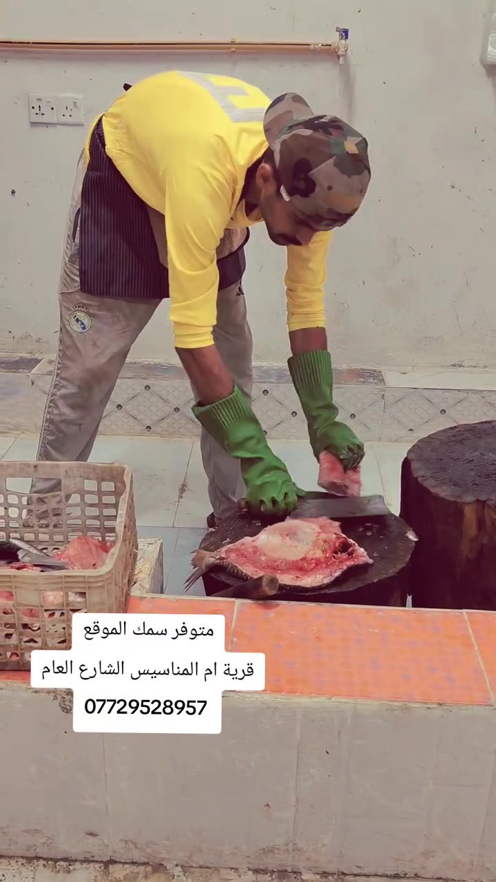 سمك • رقم واحد • نقدي