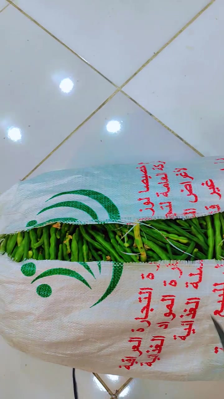 لوبية • درجة أولى