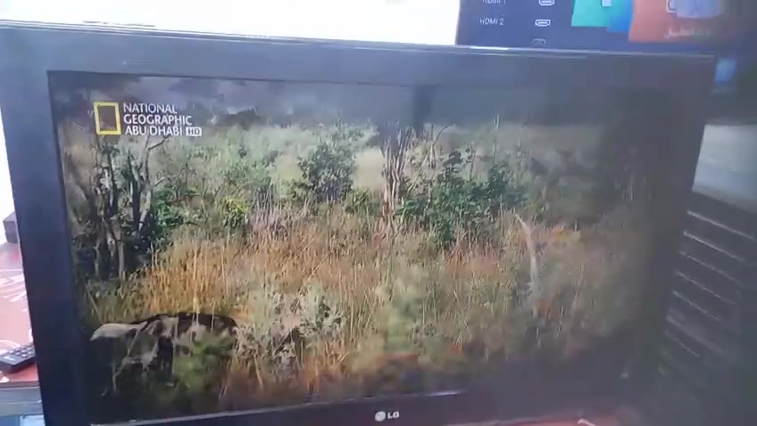 شاشة ٣٢ • منفذ HDMI • إضاءة ضعيفة