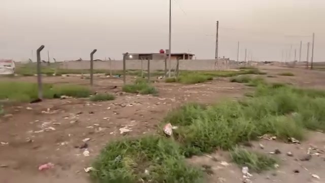 سبع قصور ابو احمد • ٢٠٠٠م • عقد زراعي
