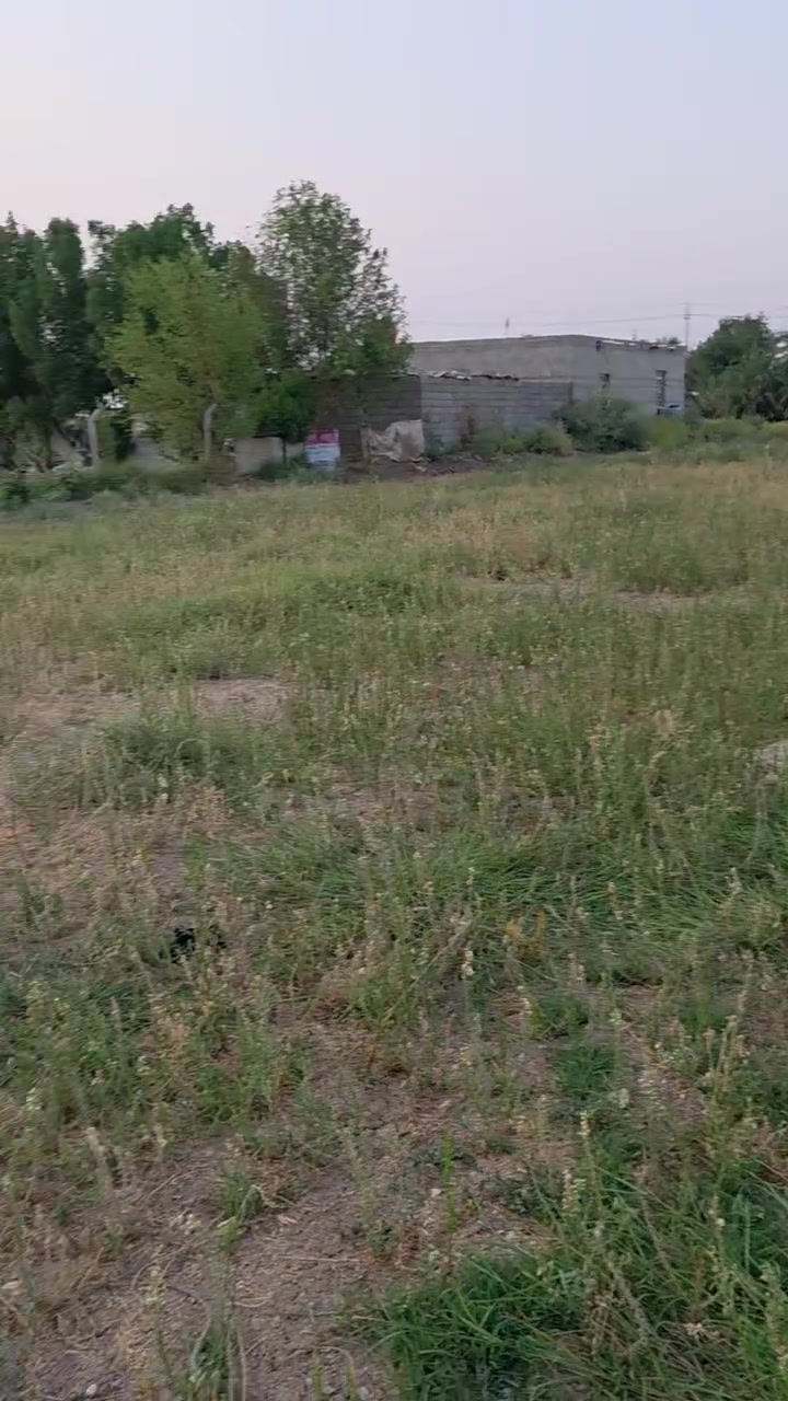 قطعه للبيع مساحه 1500 كهرباء ماي اساله تبليط بصفها مباشرتن المكان  سعيدان قرب مدرسة شهيد كربلاء اتصل على الرقم ***********
