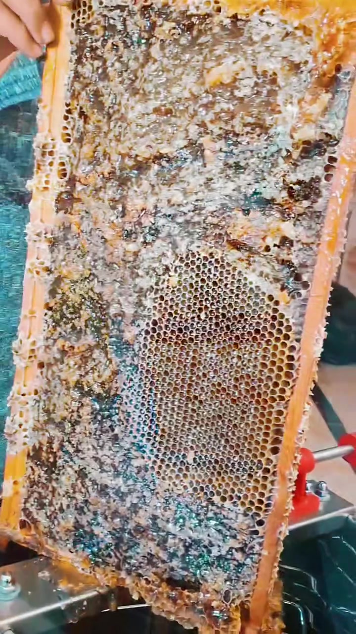 🍯🌿 متوفر لدينا عسل طبيعي أصلي 100% 🌿🍯
نوفر لكم:

🍯 عسل البرسيم – فرز شهر 5
🍯 عسل الشوكيات – فرز شهر 6

✅ عسل طبيعي أصلي 100%.
✅ البيع على شرط الفحص، افحصه عند أي نحال أو مختبر، وإذا ما كان بالمواصفات المطلوبة لا تستلمه ولا تدفع أي مبلغ.

📦 الكمية المتوفرة: 50 كيلو.

💰 الأسعار:
▪️ الجملة: 19,000 دينار للكيلو.
▪️ المفرد: 35,000 دينار للكيلو مع التوصيل.

🚚 التوصيل متوفر إلى جميع محافظات العراق.

للاستفسار أو الحجز، راسلونا على الخاص، وأهلًا وسهلًا بكم.
للاتصال *********** واتساب
