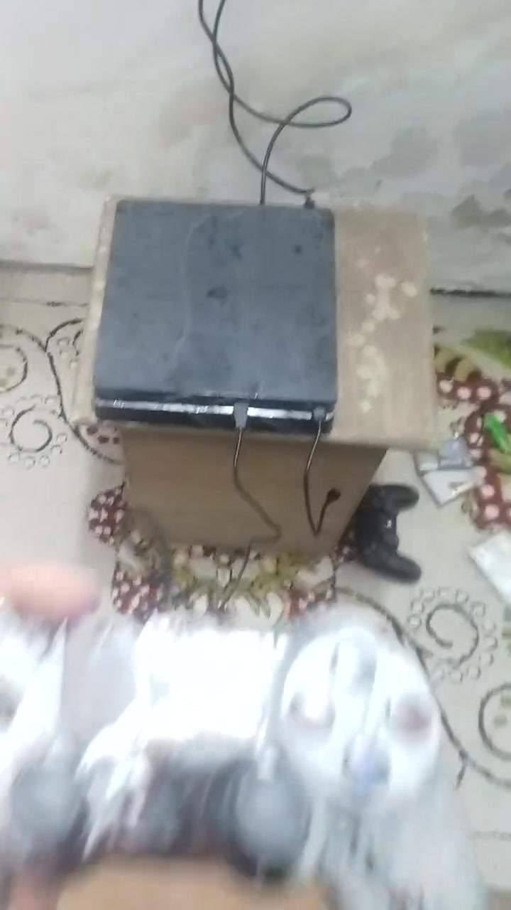 بلي 4 سلم مهكر نضام 9 هارد 500 الالعاب البي مثل ما ومضح بل فيديو مع هارد خارجي اضافي سعرة325 الف كامل ملحقات مكاني بغداد مدينة الصدر قطاع 76 للتواصل راسلني ماسنجر او واتساب رقمي ***********
