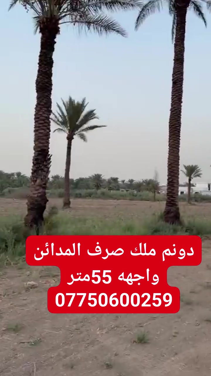 دونم • الجعاره • طابو صرف
