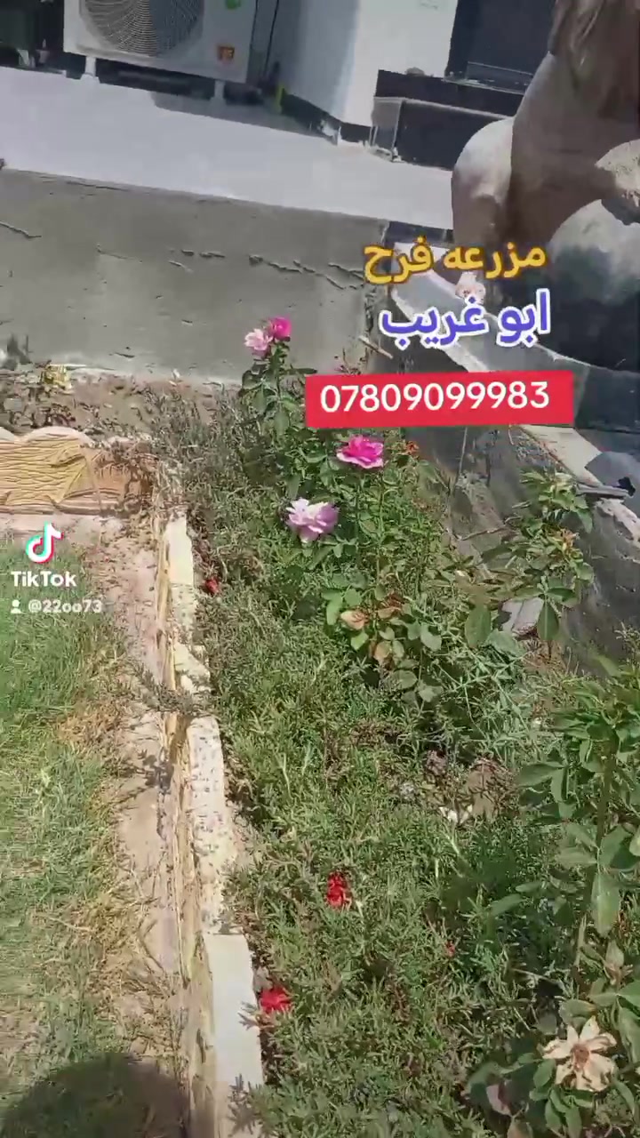 *********** @إشارة
