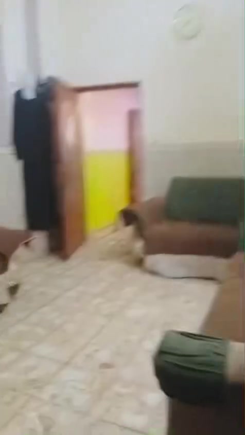 يا الله سلام عليكم ورحمة الله وبركاته بيت 100متر طابقين اعكاده الطابق الول غرفه وصاله ومطبخ واستقبال الطابق الثاني غرفتين نوم وصاله وتخاريج
كامله البيت حي مسان تقاطع شارع البوريات قرب مدرست الصبطين السعر 117اوبي مجال التصال ***********
