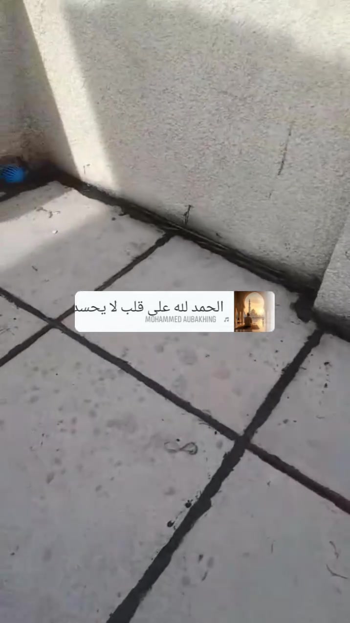 سطوح • ماستك • شتايجر