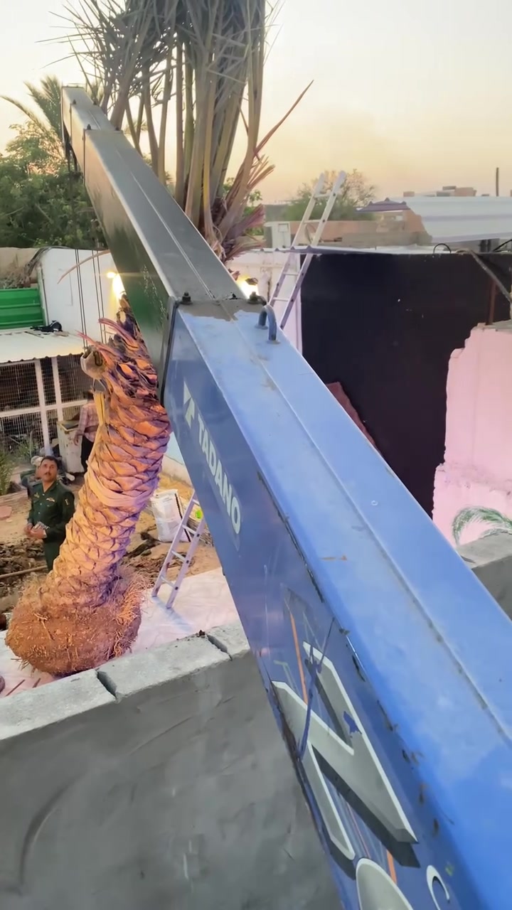 سلام عليكم عشاق ومحبين النخيل مستعدين لبيع وشراء كافة انواع النخيل الموقع بصره ابو الخصيب ***********
