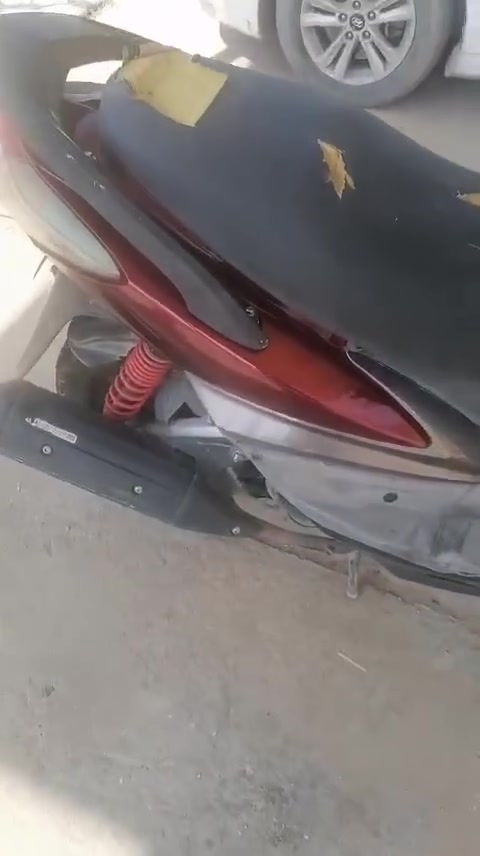 سكنس فحل • خطين • محرك ناعم
