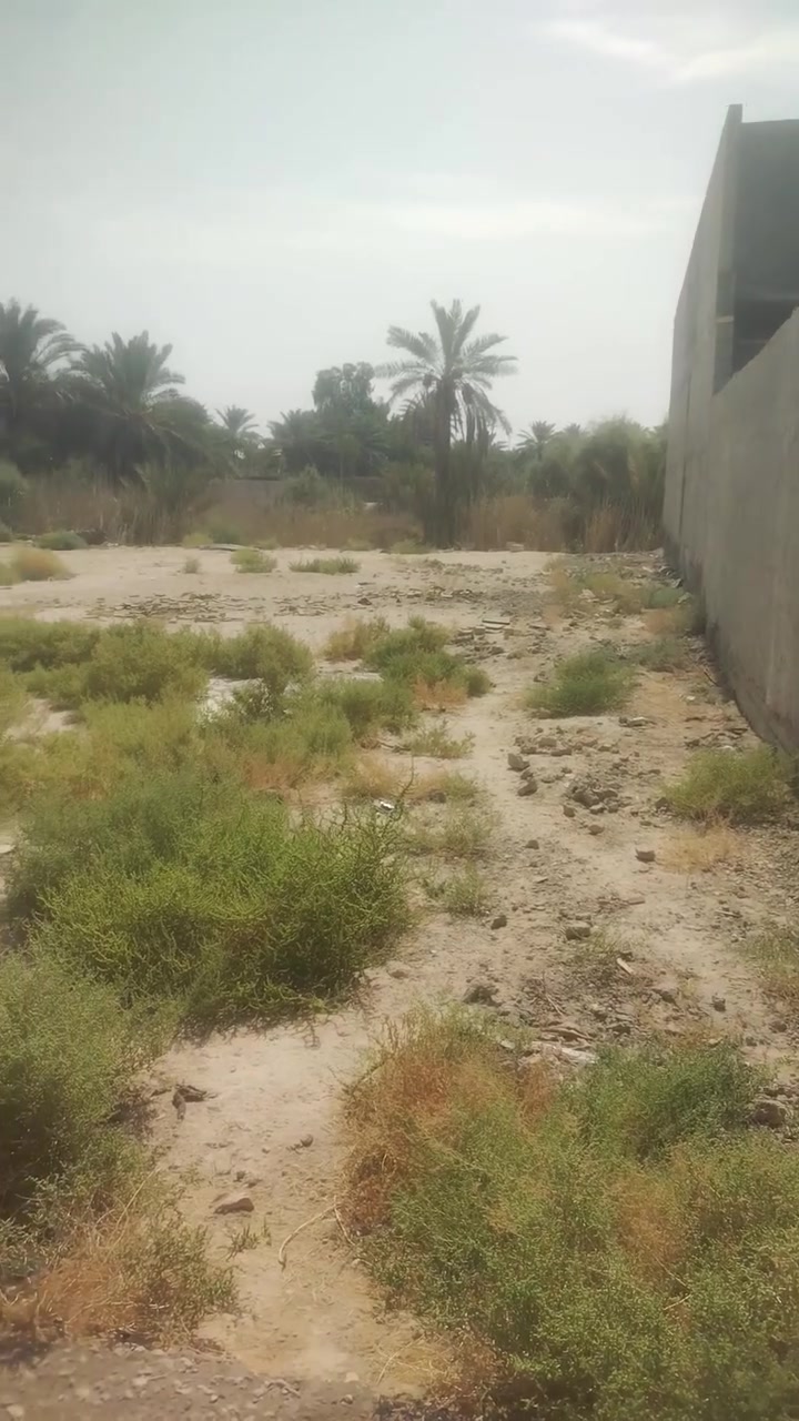 سلام عليكم  قطعه ارض البيع 300متر في كربلاء  المكان البوبيات السعر  خاص ***********
