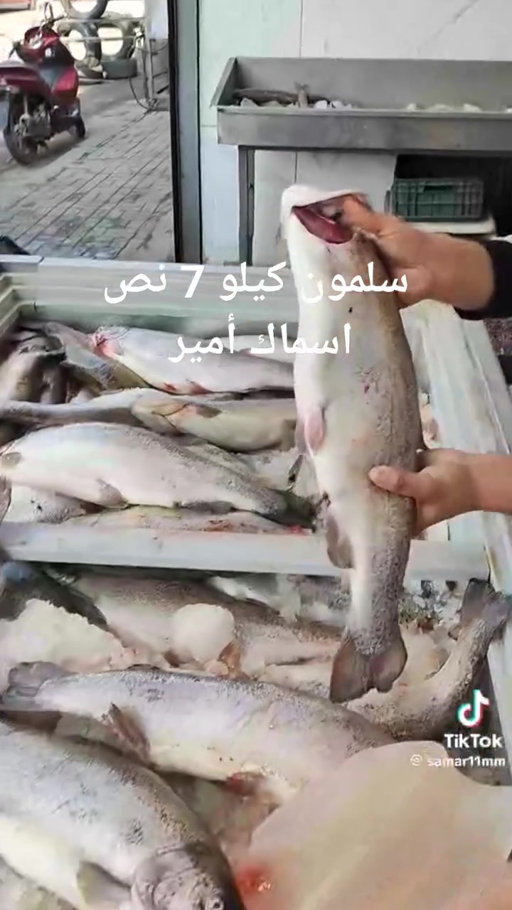 أسماك الأمير • أسماك بحرية ونهرية • توصيل بغداد