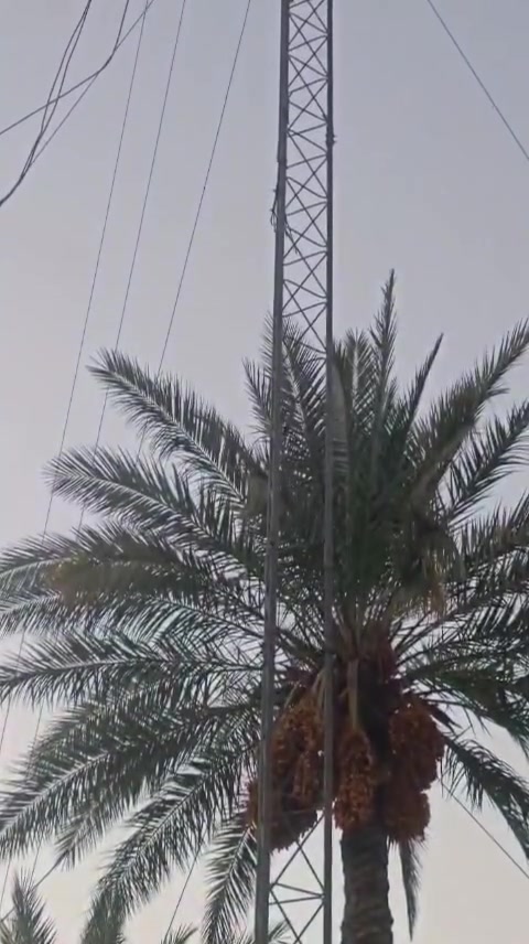 سكاتر 3
912 عدد5
دش 32 عدد 3
دش 31
ارتفاع 24 ايراني
كيبلات اسلاك كامل
بطاريه +عاكسه
البرج حاليآ شغال

العنوان.  . بابل

الرقم ***********
