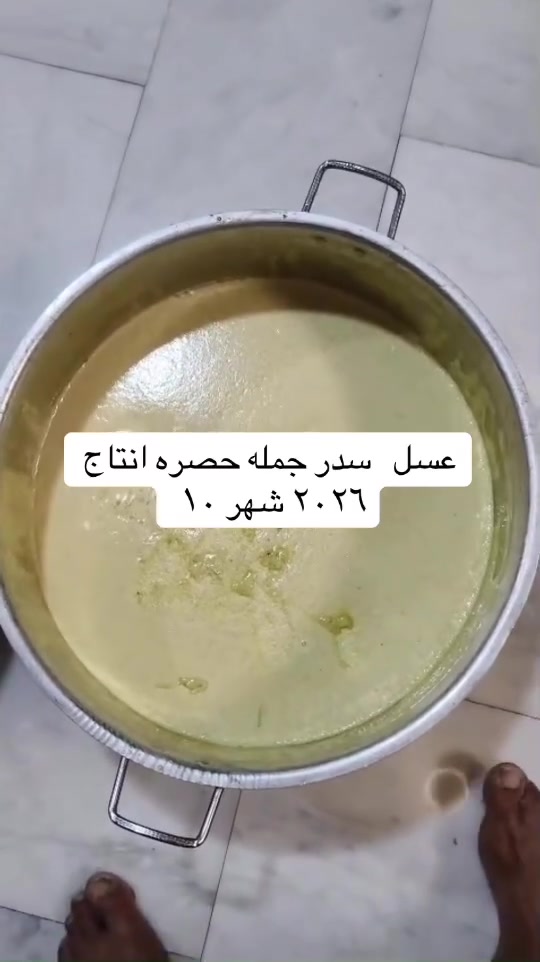 عسل السدر • جملة • شرط الفحص