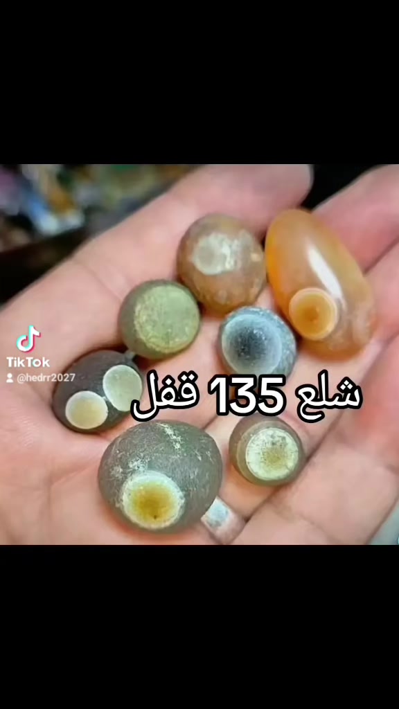 سليماني • خام • توصيل مجاني