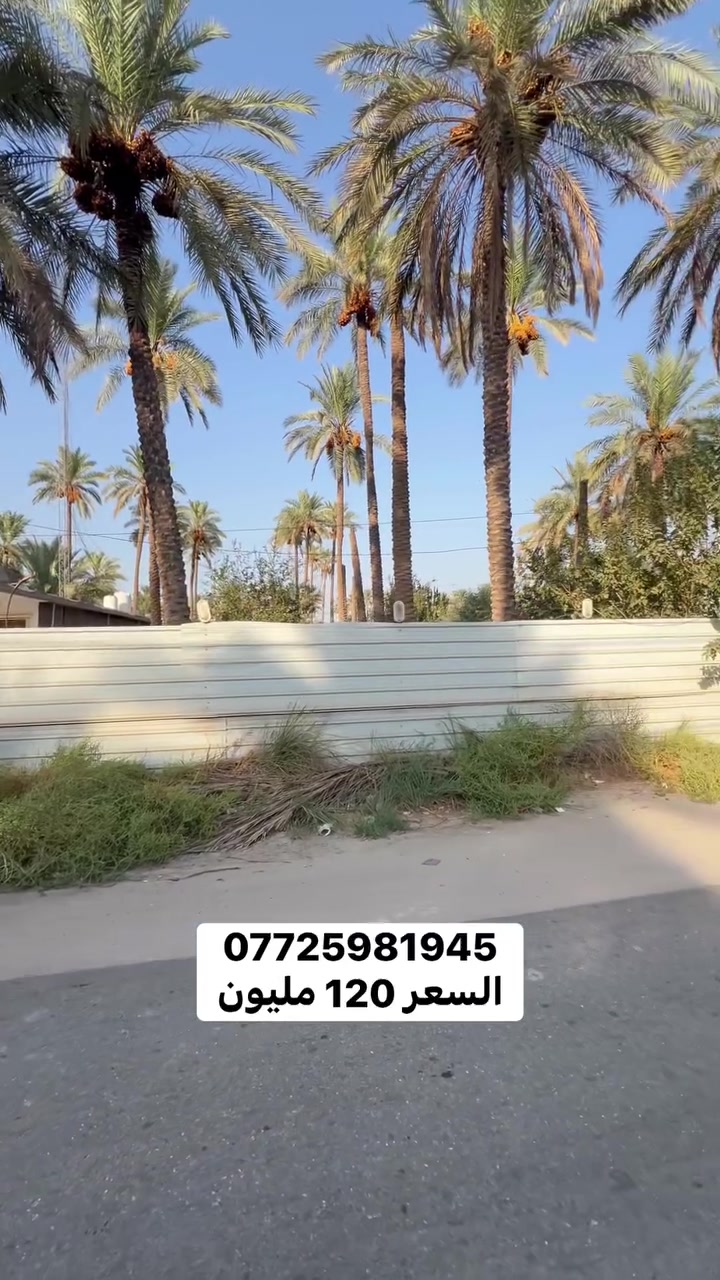 عقارات • كربلاء • بغداد