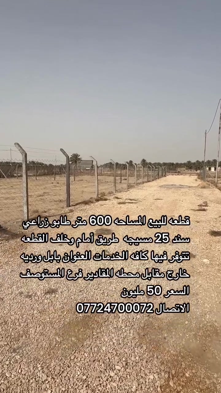 لا توجد تفاصيل
