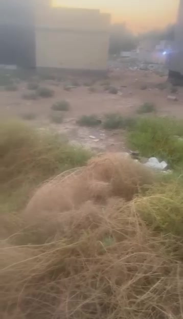 مرحبا توجود عرصة طابو صرف مساحة 300م مكان حي العسكري مال رجيبة مدفوعات المقرنص والرصيف كافة الخدمات تبليط مجاري مدارس حتى نقطة المجاري ساحبلها ماي أسأله هم مطلعلها جاهزه بس دفان عوزها القطعه بأسمي السعر اتصل واني خادم *********** ابو شمس

