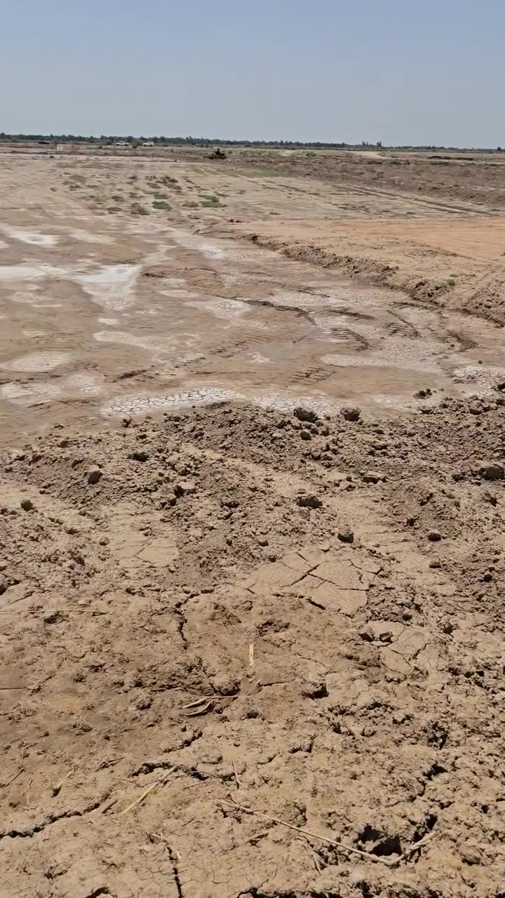 ارض زراعه للبيع المساحه ٦ دونم سعر الدونم ٦ مليون كافه الخدمات الأرض صالحه للزراعه بس متروكه تداور بسمك ٠ المدرسه تبعد عن الأرض ٤٠٠ م التبليط كيلو والكيلو مدفون من قبل الدوله ترابي جاهز للتبليط تقع على مشروع ماء متوفر شته صيف لا توجد اي مشكله قانونيه ولا عشائريه  مع مضخه ماء ١٠ حصان ٠بالنسبه للكهرباء تبعد عن الأرض ١٠٠ م ويتوفر معامله مع كافه الموافقات الطرق الاثار النفط الغاز وموفقه السكك بغداد مع موافقه  الناحيه  كامله محوله واسلك ٠ العنوان الديوانيه قضاء الدغاره بتجاه الشوملي ٠واكو طريق للكاع من السريع الدوالي مقابل مطعم قصر السلطان  ***********
